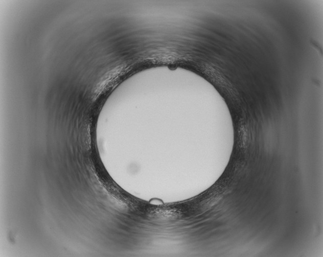 X0000099970638200806131533