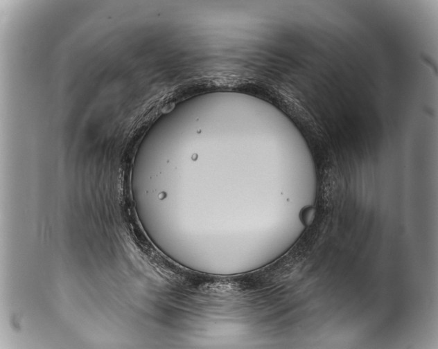 X0000099970639200806131533