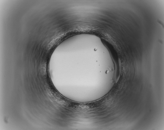 X0000099970640200806131533