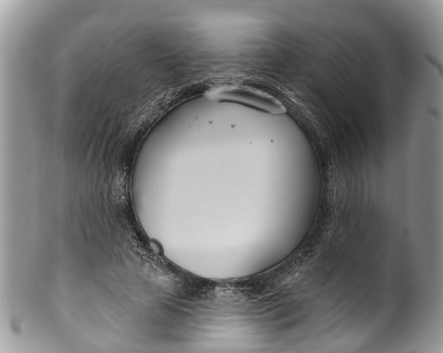 X0000099970641200806131533