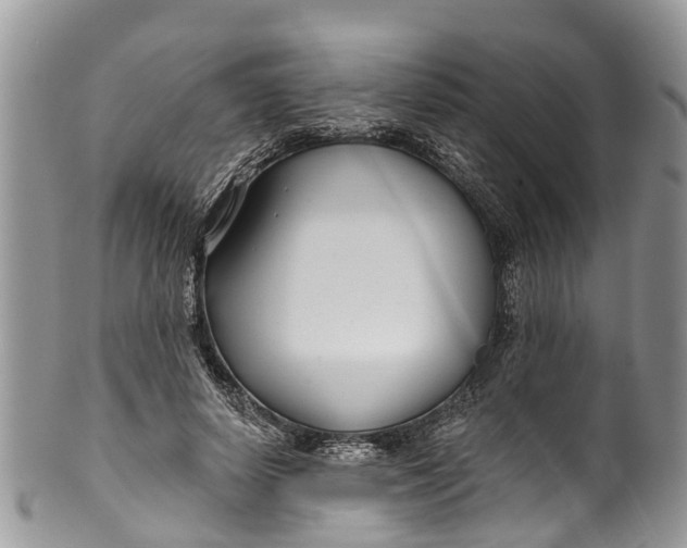 X0000099970642200806131533