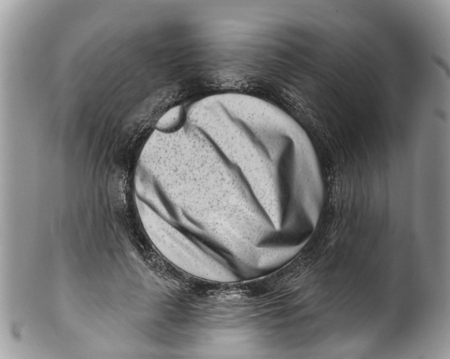 X0000099970643200806131533