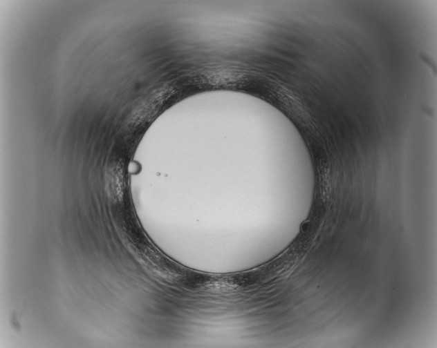 X0000099970644200806131533