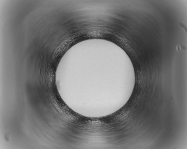 X0000099970645200806131533