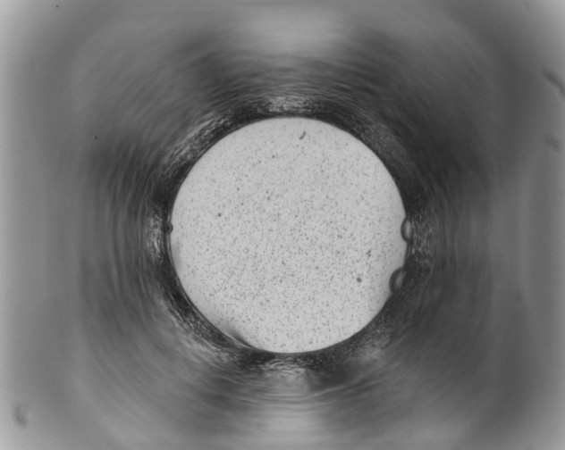 X0000099970648200806131533