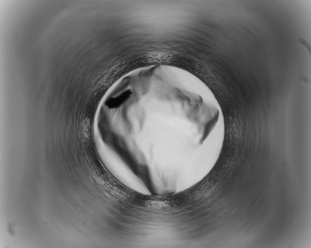 X0000099970649200806131533