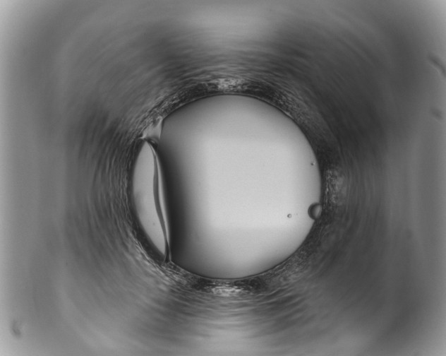 X0000099970650200806131533