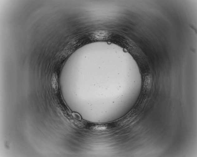 X0000099970651200806131533