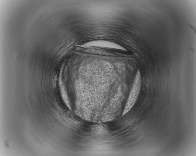 X0000099970652200806131533