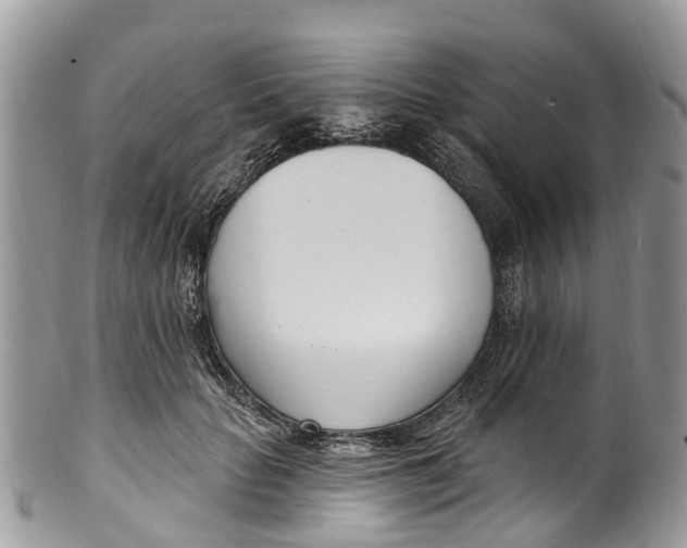 X0000099970653200806131533