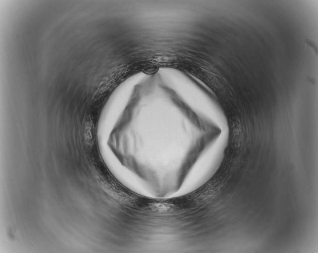 X0000099970654200806131533