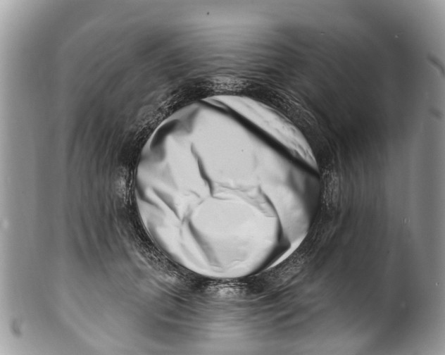 X0000099970655200806131533