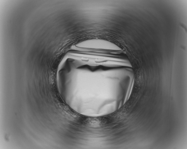 X0000099970658200806131533