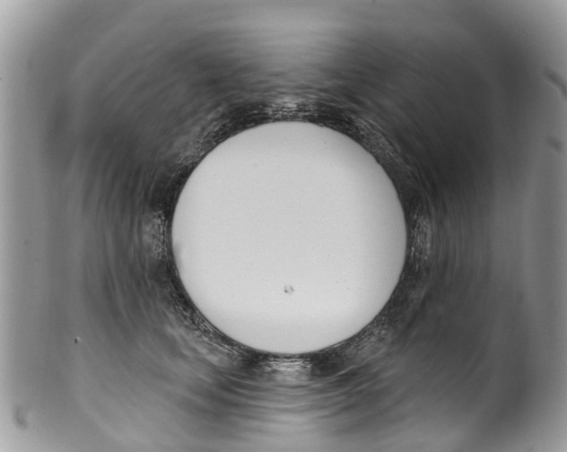 X0000099970659200806131533