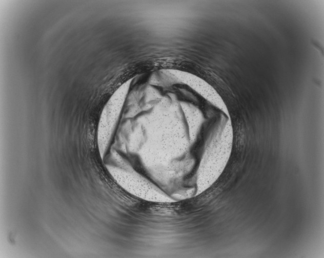 X0000099970661200806131533