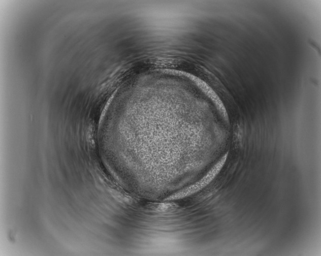 X0000099970663200806131533