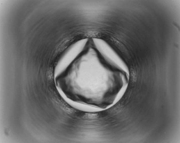 X0000099970665200806131533