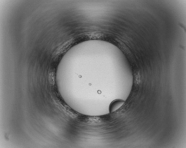 X0000099970666200806131533