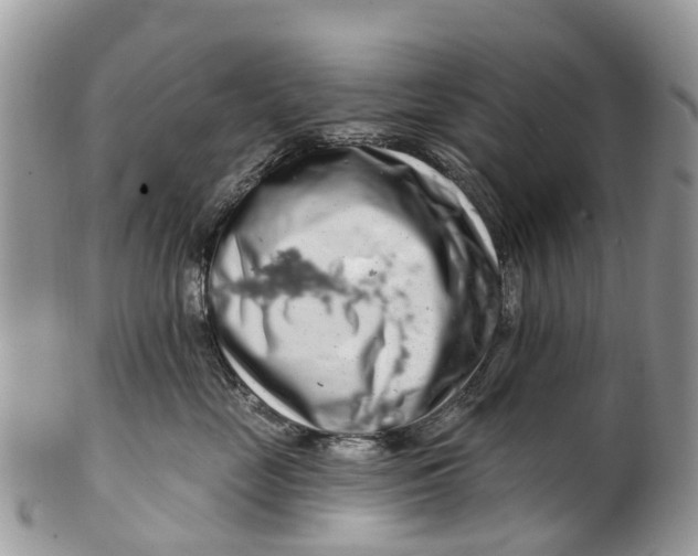 X0000099970669200806131533