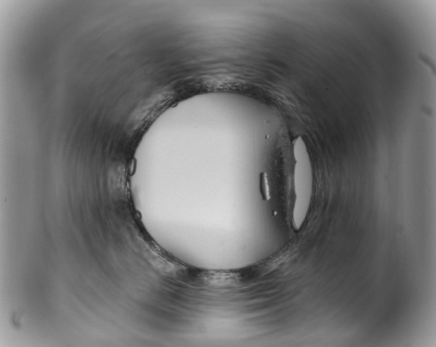 X0000099970670200806131533