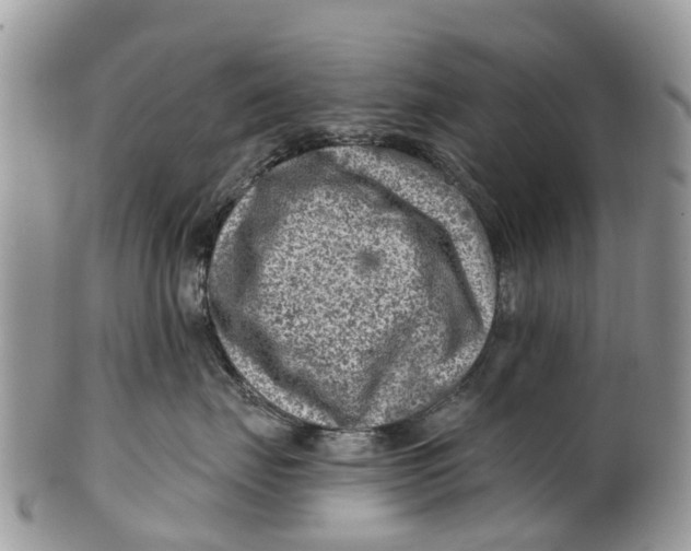 X0000099970671200806131533