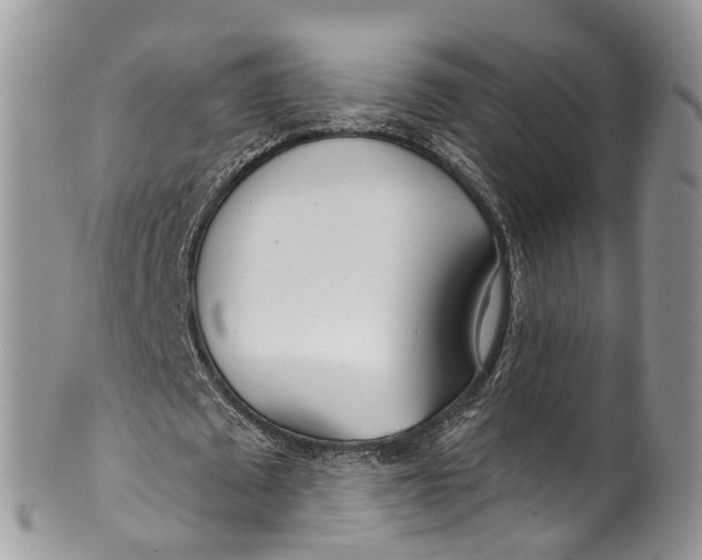 X0000099970673200806131532