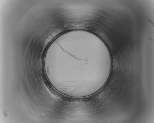 X0000099970674200806131532