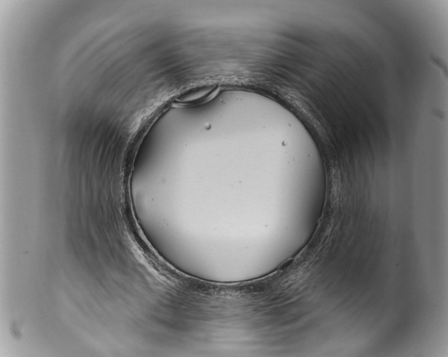 X0000099970677200806131532