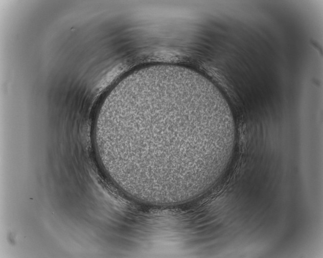 X0000099970679200806131532