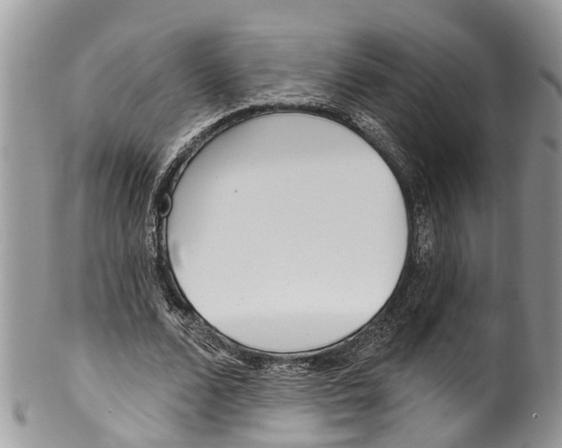 X0000099970680200806131532