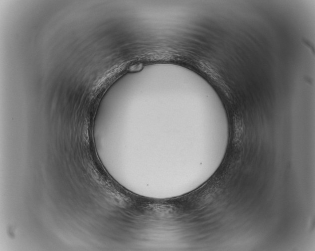 X0000099970681200806131532