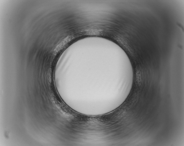 X0000099970682200806131532