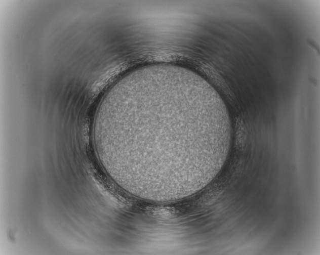 X0000099970683200806131532