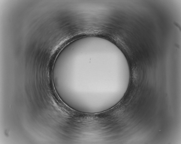 X0000099970684200806131532