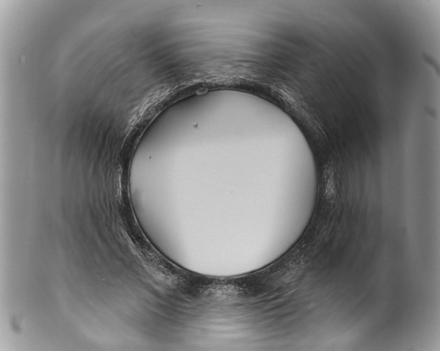 X0000099970685200806131532