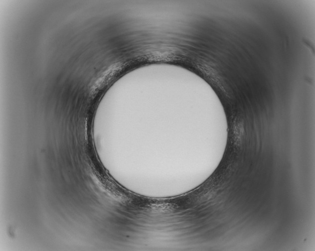 X0000099970686200806131532