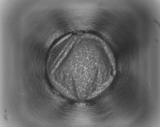 X0000099970687200806131532