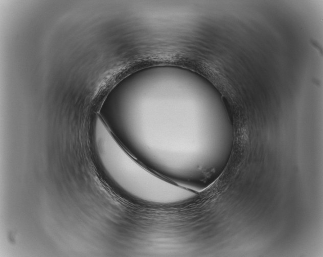 X0000099970688200806131532