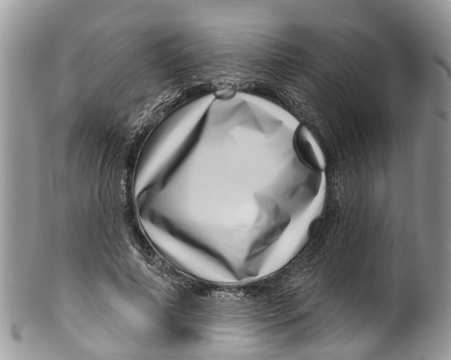 X0000099970690200806131532