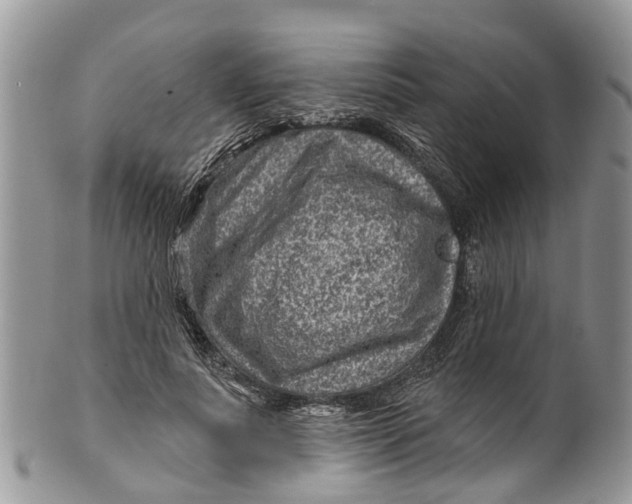 X0000099970691200806131532