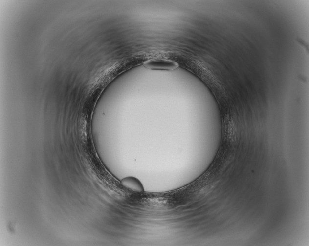 X0000099970692200806131532