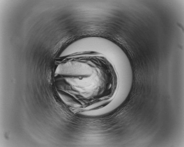 X0000099970693200806131532