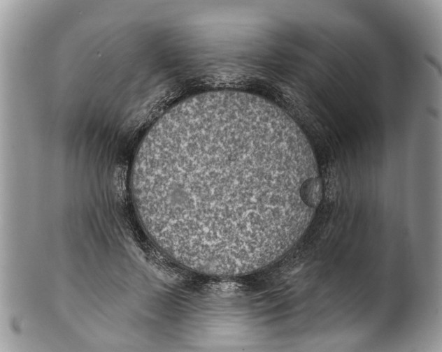 X0000099970695200806131532