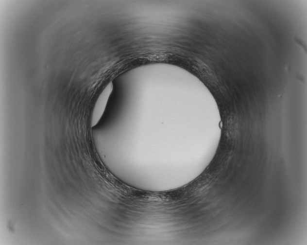 X0000099970697200806131532