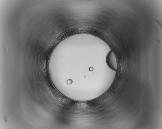 X0000099970698200806131532