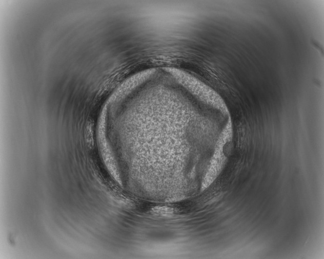 X0000099970699200806131532