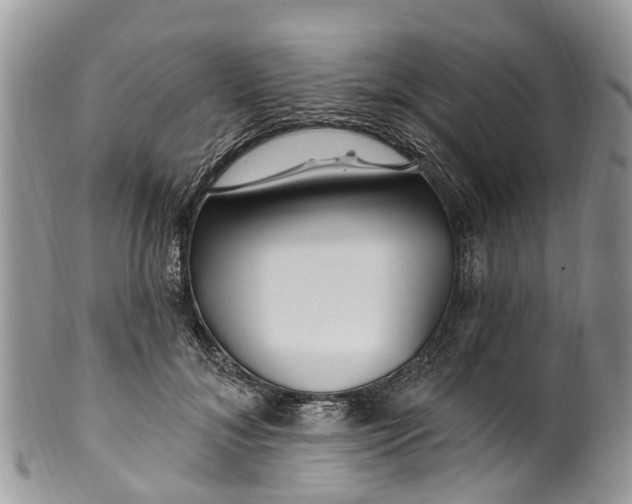 X0000099970700200806131532