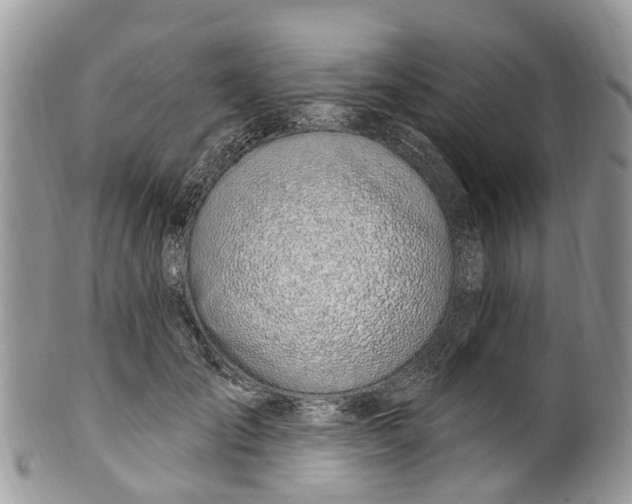 X0000099970701200806131532