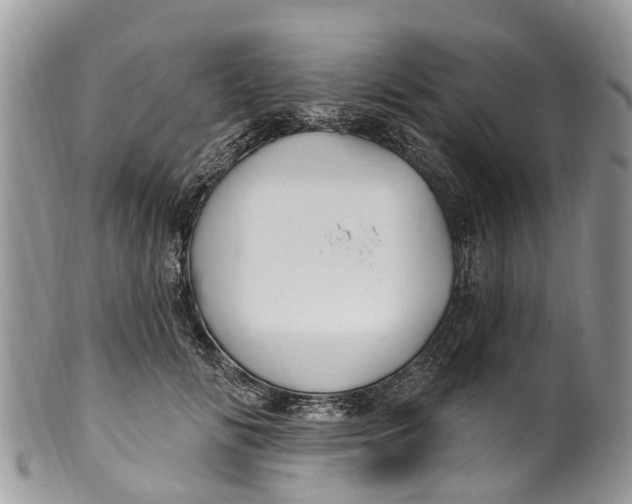 X0000099970702200806131532