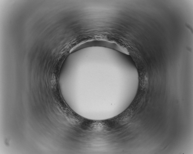 X0000099970704200806131532